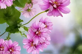 农村“四大缺德事”绝对别碰，每个天理难容，碰一件毁一生图片