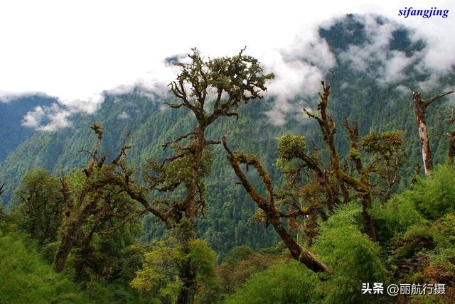探访高黎贡山深处——独龙江秘境