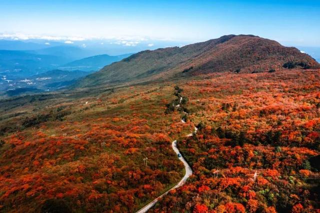 峨眉山这种级别的秋景，我愿称之为饱和度战神