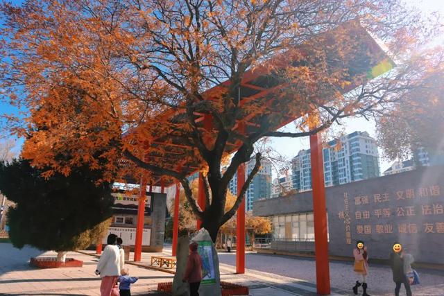 园中园,画中画,秦皇岛一河两园自然馈赠!