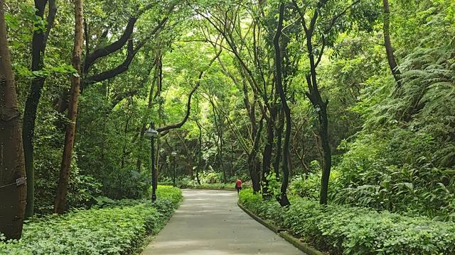 深圳高颜值公园推荐，笔架山公园，湖光山色俯瞰深圳