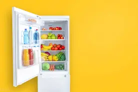 中国冰箱市场品牌竞争力调研及投资商机分析报告2024-2030年图片