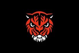 logos：猛虎出笼！一组虎视眈眈的老虎元素标志设计分享图片