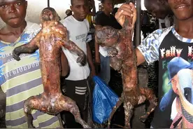 非洲最残忍的食物，网友纷纷指责，这跟吃自己有啥区别：吃猴子图片