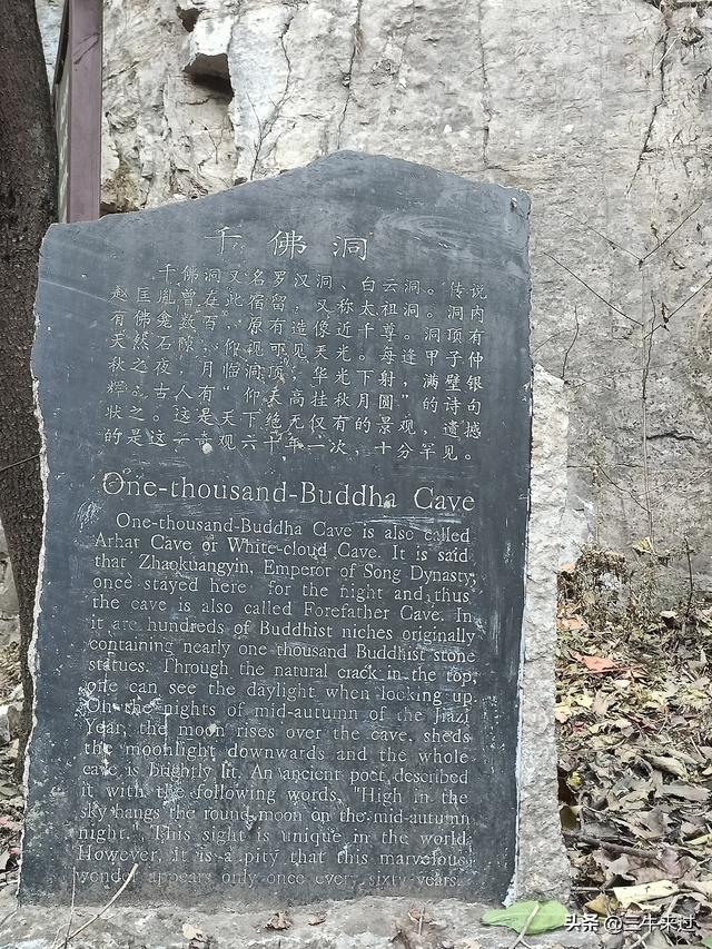 无为在歧路，免费仰天山