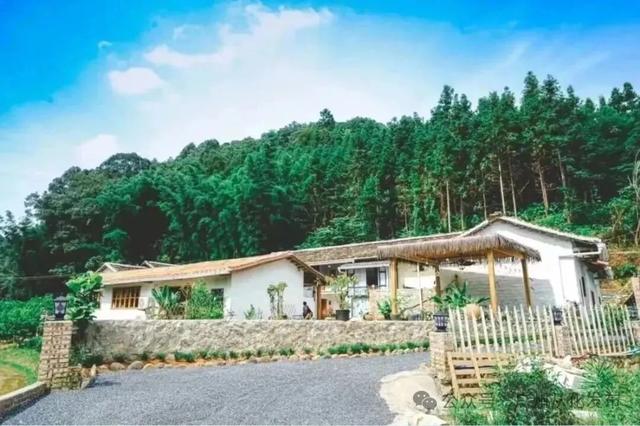 激情全运季，冬日红柿四大天王火爆出圈，爆汁甜满喜“柿”连连～