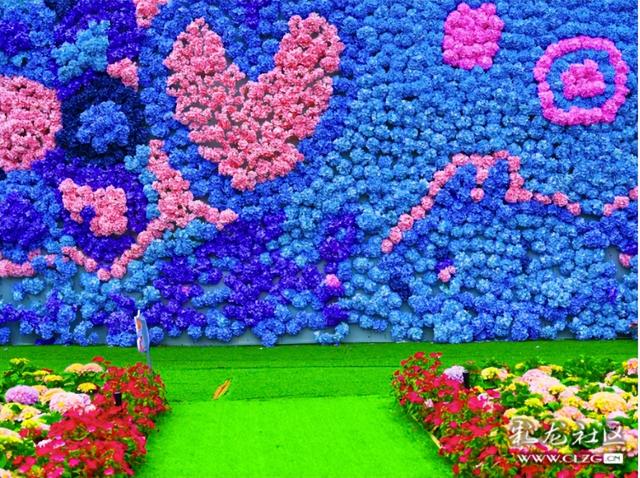 绣球花展点亮滇池