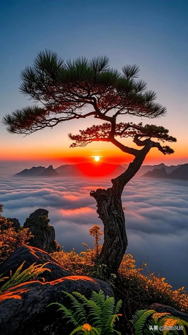 站在时光的山巅，看云海漫卷