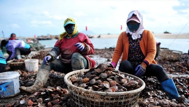 全球190多国已收到中国的通知，高市早苗急了，给了中国两个选择