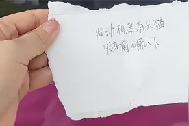 小猫卡车里保时捷车主果断拆车救猫 车主：拯救了一条生命很值得图片