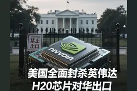 美国全面封杀英伟达H20芯片对华出口图片