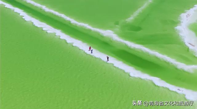 海西的秋天有多绝？从盐湖到胡杨，每一帧都是壁纸