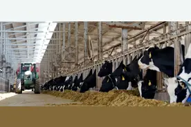 牛气喘，呼吸急促是什么情况？图片