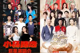 小杨哥VS辛巴，下坡路上，无问一哥图片