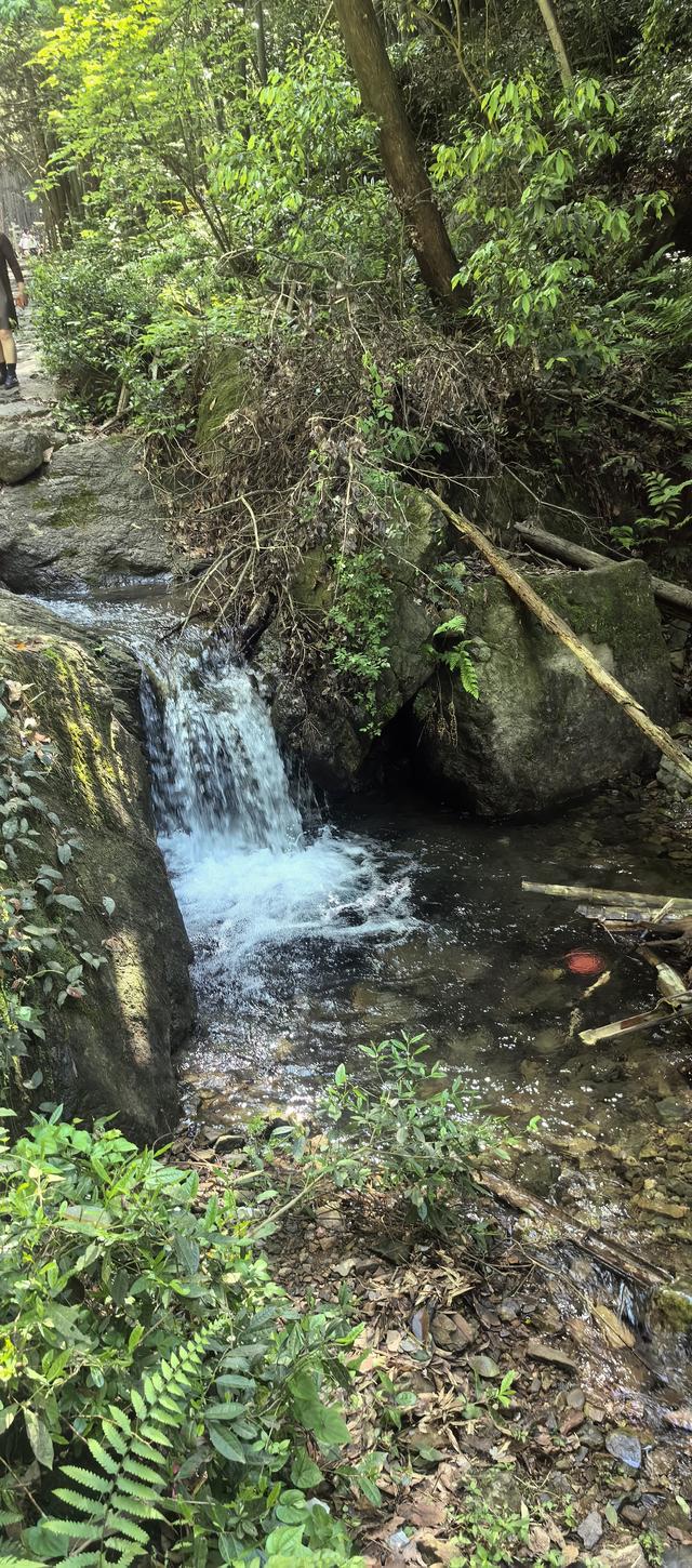 绍兴梅坞古道一条 对新手小白特别友好的线路