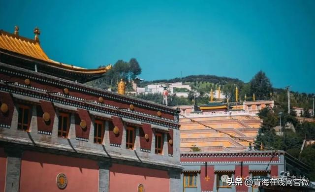 【青海在线网·散文】你见过什么样的青海