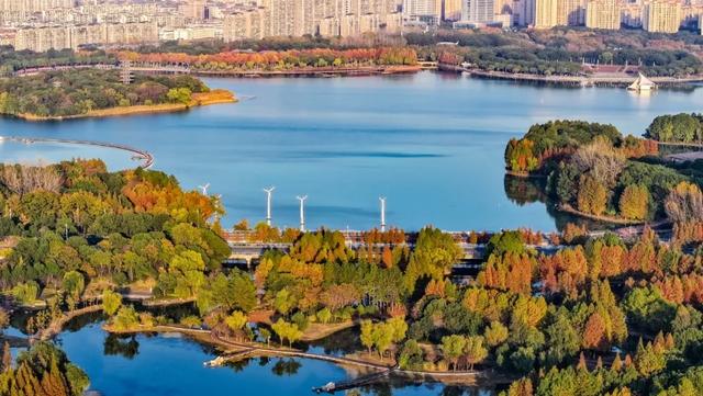 这样的张家港，我“All in”了！