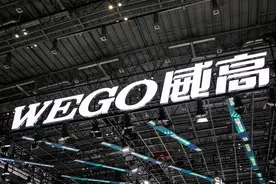 陈学利施展财技打造780亿医疗帝国 威高系净利剧降股价大跌财务承压图片