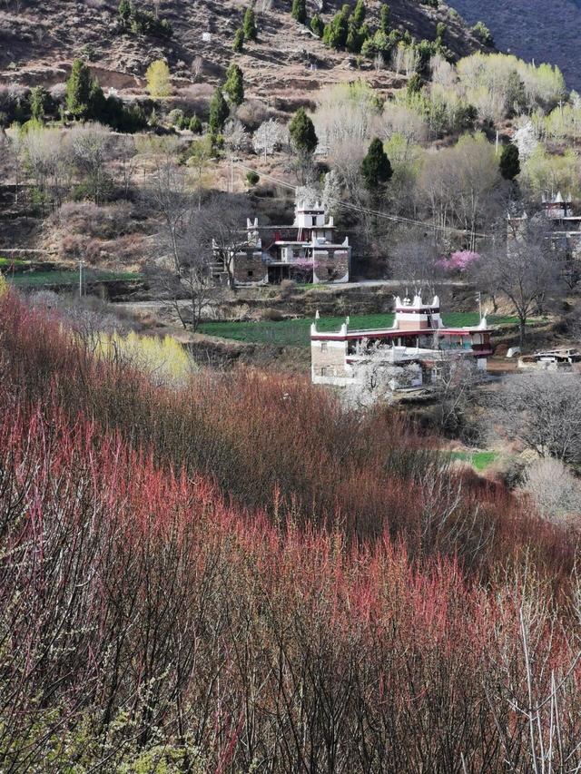 强烈建议3-5月走起的9条自驾路线，春天花开成海，沿途美成天堂！