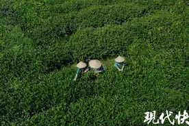 来打卡！无锡滨湖踏青路线获全国推介图片