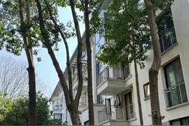 为何越来越多人抢购“老小区”的房子？听内行人一说，恍然大悟图片