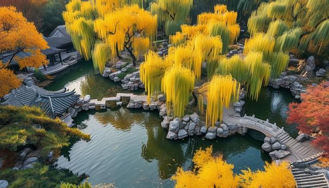 不藏了，推荐天津5个秋色仙境，最后一个惊艳了百年时光！