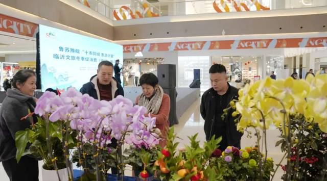 徐临相约，冬韵生情 | 鲁苏豫皖“十市同城 惠游沂蒙”临沂文旅冬季促消费(徐州）推介会成功举办