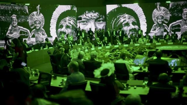 迄今世界第一大蛛网：106平米	，11万只蜘蛛的家