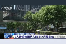 公司新招2个销售团队竟全是骗子图片