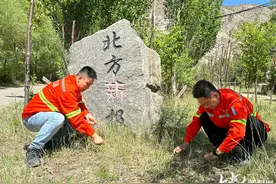 北方新报读者林：一方青绿染青城图片