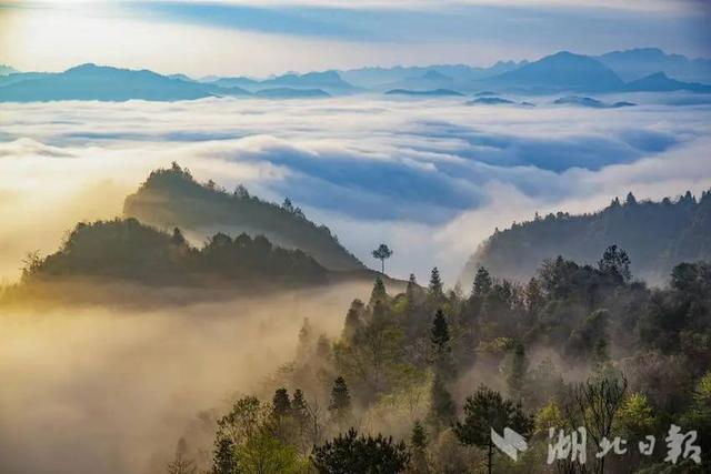利川：龙渠古韵，茶香悠悠
