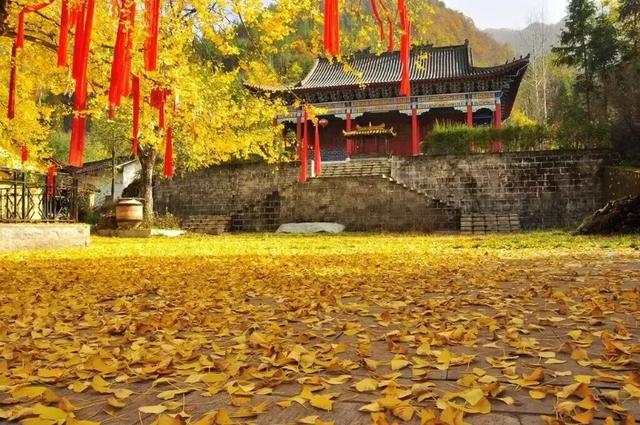 遇见金秋！来汉中，邂逅一场秋日山野浪漫之约！