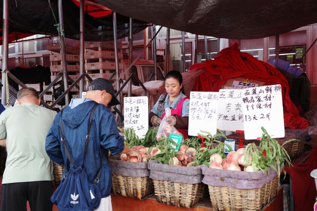 不打卡也能爱上青岛！轮渡追海鸥和早市啃馒头，体验本地人生活