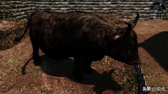 11亿光年蓝色闪光揭露！宇宙高能事件，上演撕星惨案