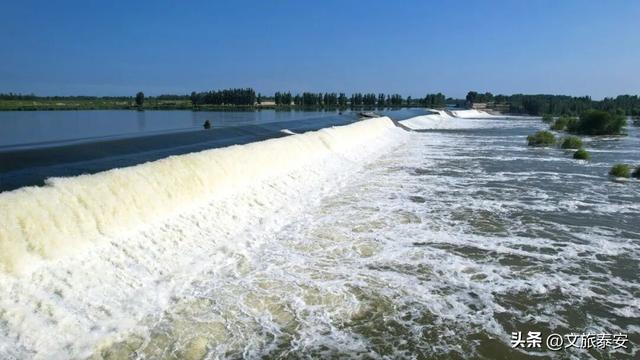 解锁「美拉德」色系！东平的秋天是懂氛围感的，朋友圈晒这些图绝对赢麻！