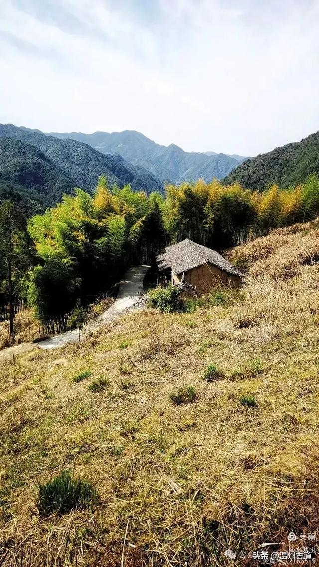不用去西藏，仙居这里藏了个“布达拉宫”，夏日避暑静心好去处！