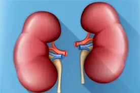 肾虚多淫、肝虚多软、脾虚多痰，一盒中成药，补足五脏虚图片