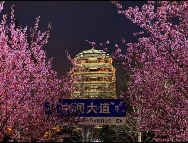 好多人在拍！快来打卡淄博这些“花海大道”~