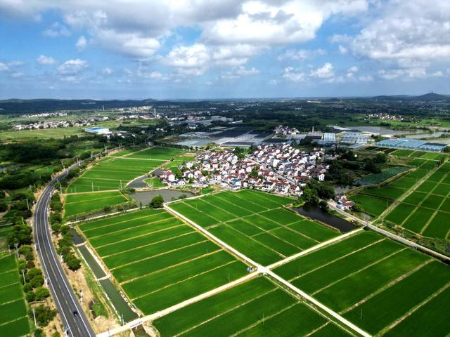南京高淳桠溪：生态田园景色美