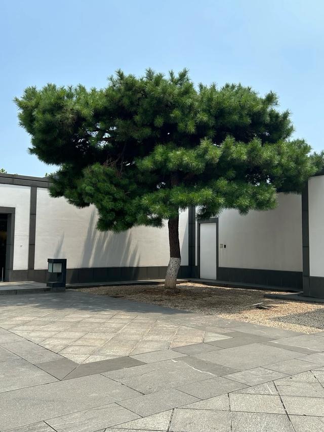 苏州十大必去景点全攻略：在古典园林中邂逅江南韵味