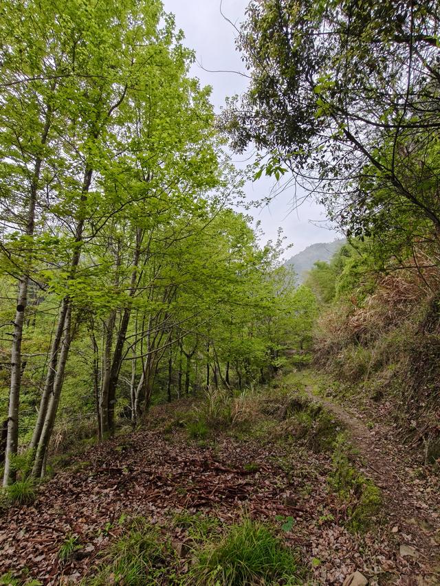 仙居县大木辽村，寻寻觅觅落脚地，起起落落下山走