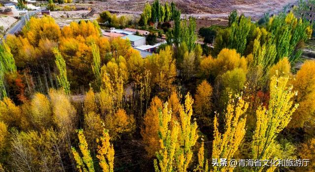 双节假期去哪儿？青海龙羊峡！秋日山湖+渔火星光，朋友圈高赞全拿捏~