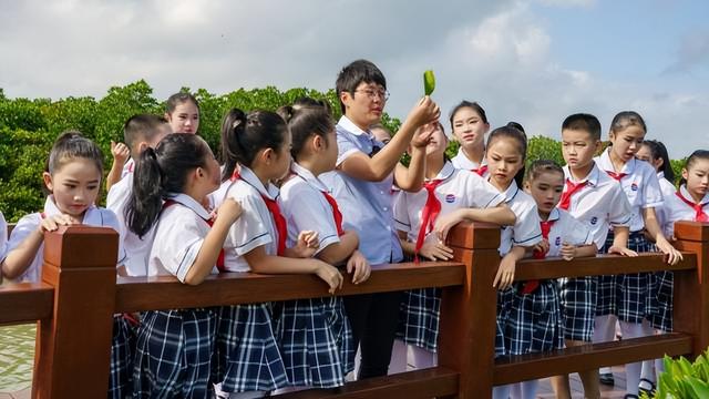 在广东绿美保护地，人与自然彼此治愈 | 寻美南粤⑥