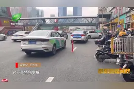 融媒+督查丨违停车“霸占”花果园这处公交站，交警：联合相关部门加强管理图片