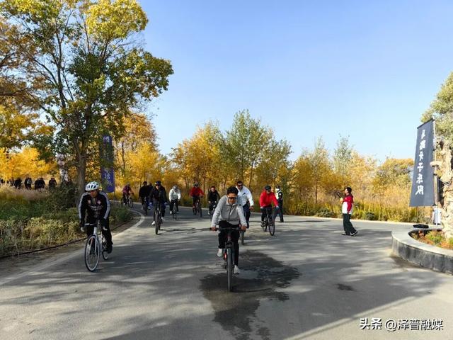 寻迹金胡杨，骑行赏秋韵：畅享秋日骑行 领略泽普风光