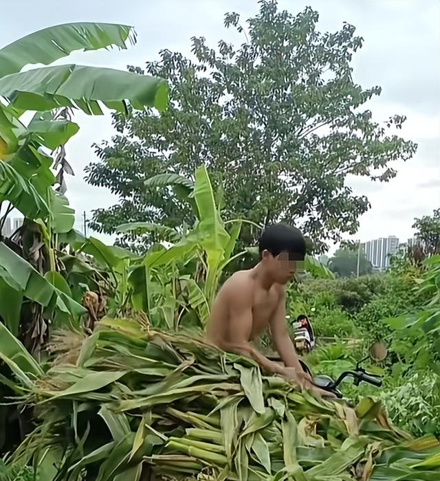 广西体育生宁宇华离世！年仅17岁，长相帅气，死因惋惜母亲太绝望