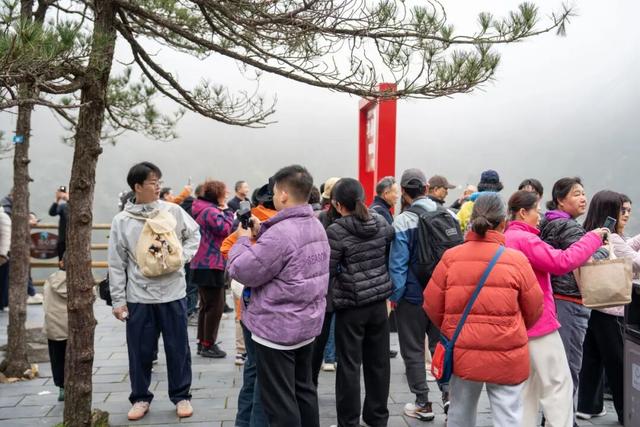 “三八”妇女节人气火爆！明月山迎来春日登山热潮！