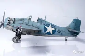 野猫与雄猫图片