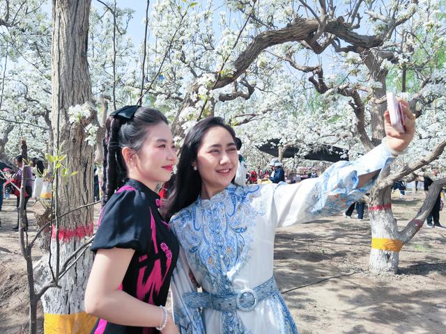 花满城人潮涌！库尔勒梨花季正式启幕啦！