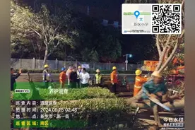 紧急应对大风侵袭，园林绿化中心夜以继日守护城市绿脉图片